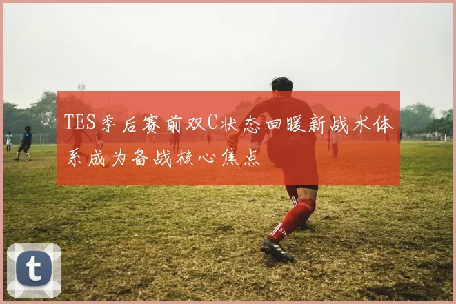 TES季后赛前双C状态回暖新战术体系成为备战核心焦点